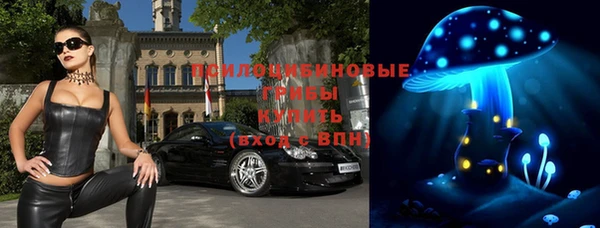 стаф Алексин