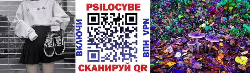 Псилоцибиновые грибы мицелий Беслан