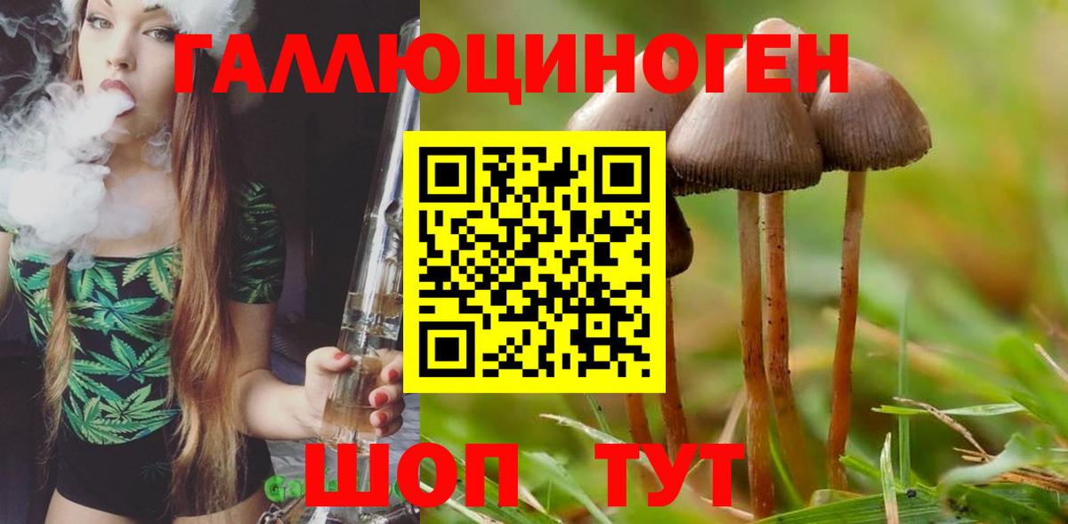 Беслан  Псилоцибиновые грибы Psilocybine cubensis  даркнет сайт  Вход с VPN 